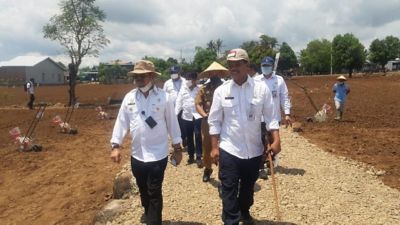 Kementan Stok Jagung Nasional Diperkuat Di Sentra Produksi