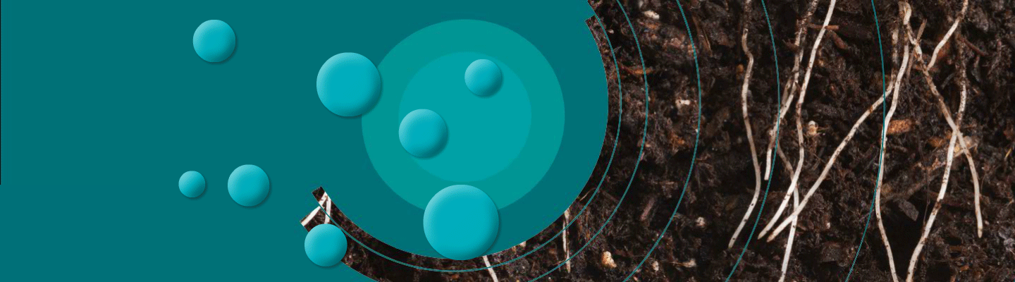 Nitrogen Stabilizer Portfolio Hero Banner