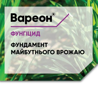 буклет Вареон