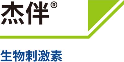 杰伴logo