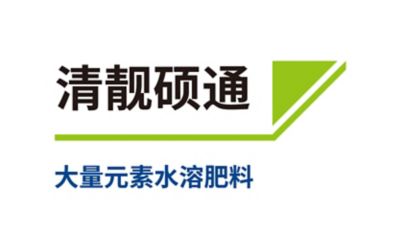清靓硕通