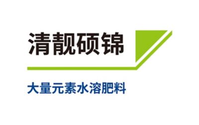 清靓硕锦