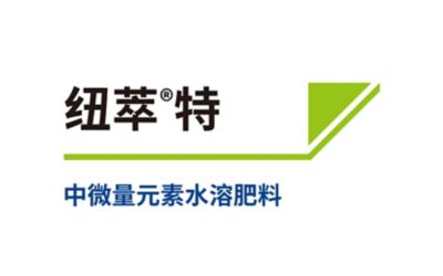 纽萃®特