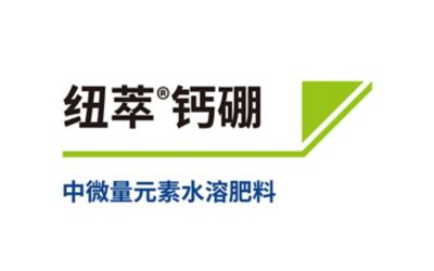 纽萃®钙硼