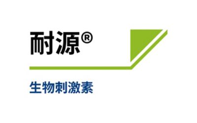 耐源®