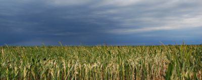 fild below, dark sky above