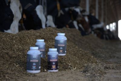 Pioneer Siliermittel Produkte