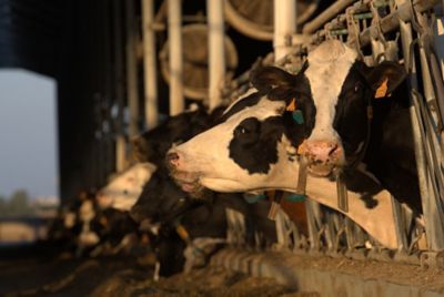 Nacherwärmung reduzieren & Verluste vermeiden