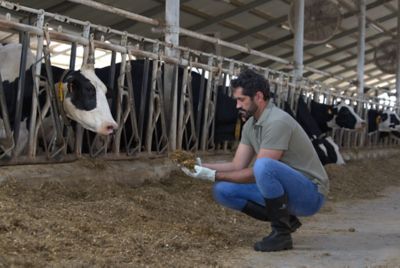 Mehr Protein für das Tier