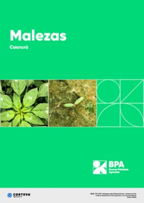 Malezas: Caarurú