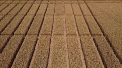 2 VERBEN-Key Benefits