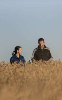 Soy Harvest