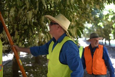 Orchard Spray Coverage Testing