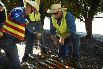 Orchard Spray Coverage Testing