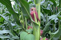 20190718_152555828_iOS_241_160