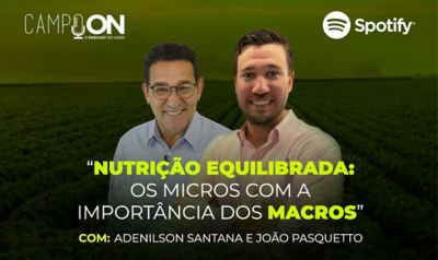 Nutrição Equilibrada: Os micros com a importância dos macros
