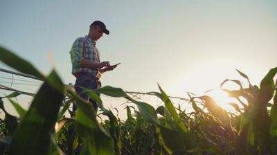 farmer walking down rows of corn