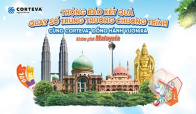 26261023-Banner-Web-Malaysia-V02