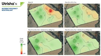 IMAGE 3: Spatial grain yield response to Utrisha N in wheat