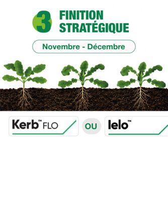 stratégie