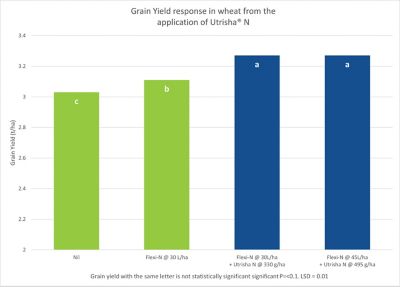 IMAGE 4: Grain Yield response in wheat from the application of Utrisha® N