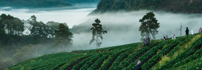 Farming for the future