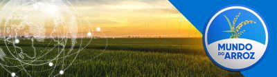 Cabeçalho Mundo do Arroz