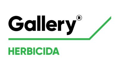 Logo de Gallery®