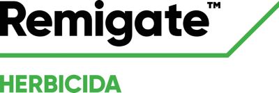 Remigate Logo