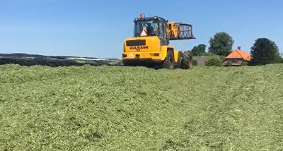 Korte video: Wat gebeurt er in de graskuil?