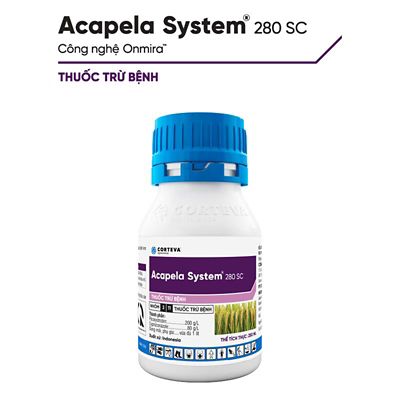Acapela System