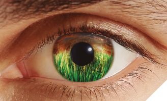 Folleto Digital Arroz