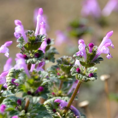 AdobeStock_138901571