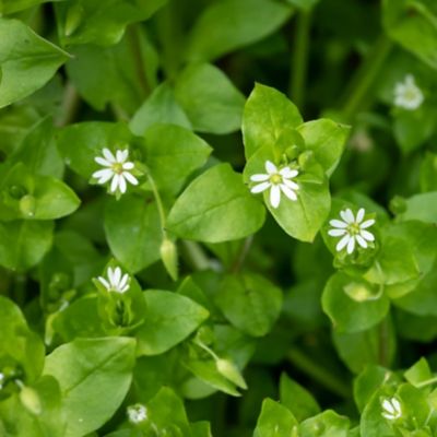 AdobeStock_214023991