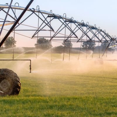 A combination of biological and technological solutions can help improve NUE and WUE while improving crop productivity.