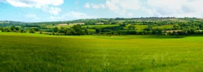 panoramic view of farm fields