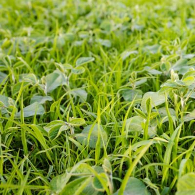 AdobeStock_437792728