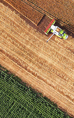 Aerial-view-of-combine-on-harvest-field-Desktop