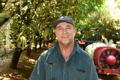 IPM - Transform in Macadamias