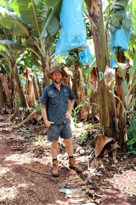 Tolga banana grower, Andrew Serra, welcomed the introduction of Verpixo® Adavelt® active Fungicide as a tool to control Yellow Sigatoka. 