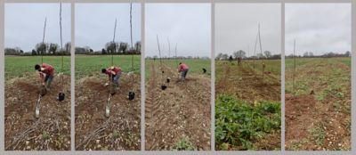 Andy Bason agroforestry.png