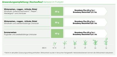 Anwendungsempfehlung Broadway Plus