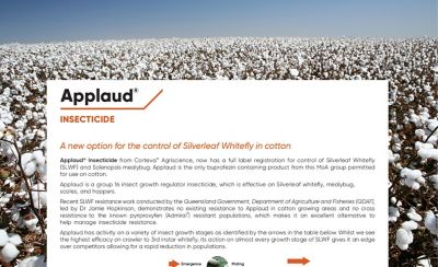 Applaud - Silverleaf Whitefly in cotton 
