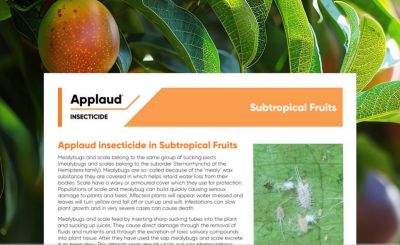 Applaud - Subtropical Fruits
