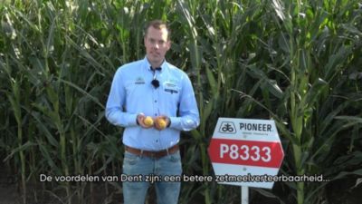 Betere zetmeelverteerbaarheid