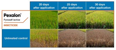 Lasting control - treated vs. untreated views progressively over 30 days