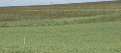 Article Hero Image Bizon Desktop 1024 x 450