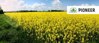 Article Hero Image OSR MAXIMUS Desktop 1024 x 450