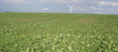 Article Hero Image Perenal Desktop 1024 x 450