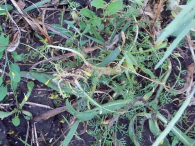 Article Image Galera 02